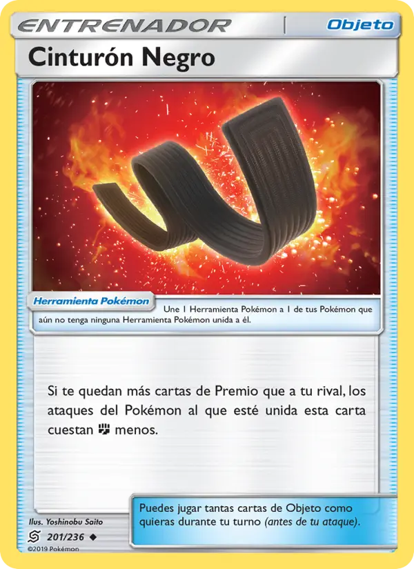 Cinturón Negro #201