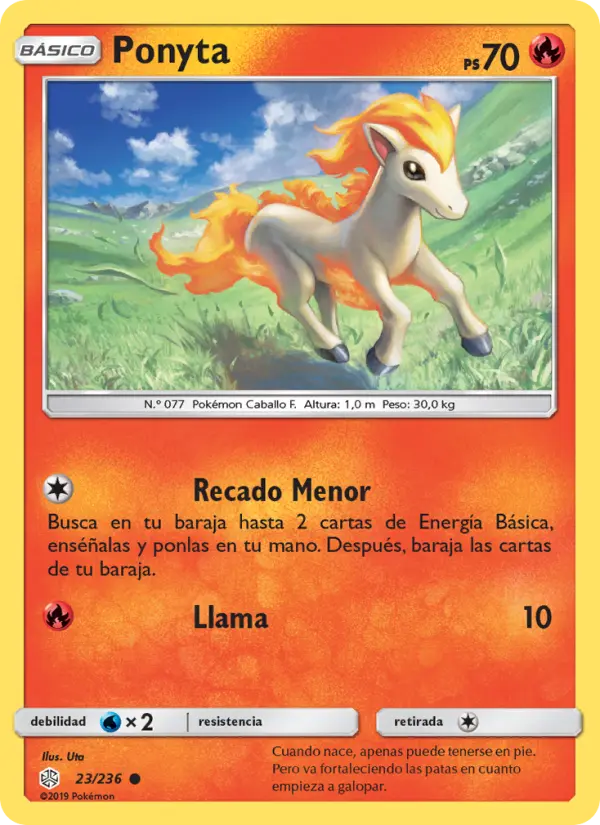 Ponyta #23