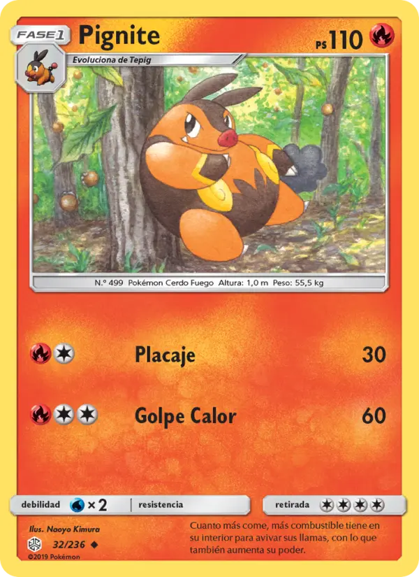 Pignite #32