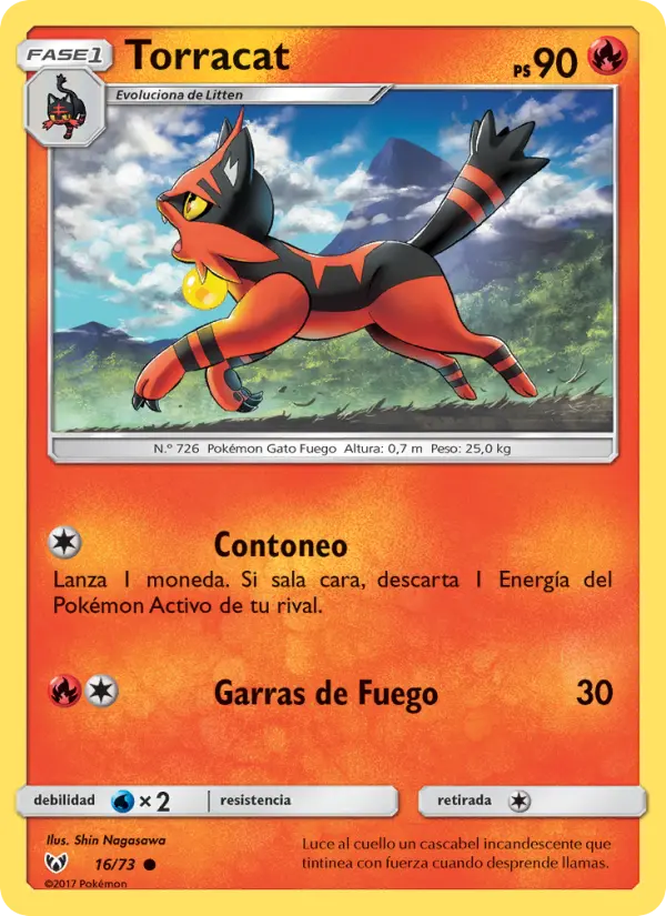 Torracat #16