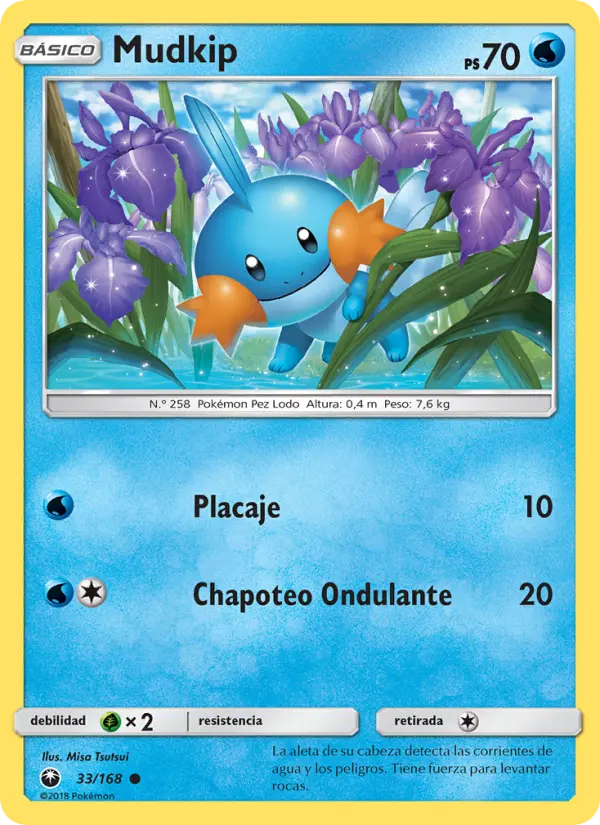 Mudkip #33