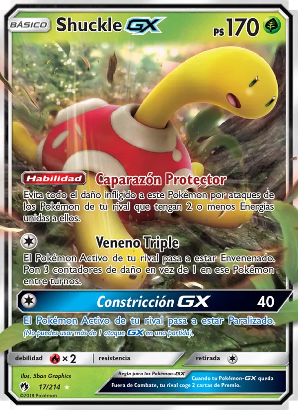 Shuckle GX #17