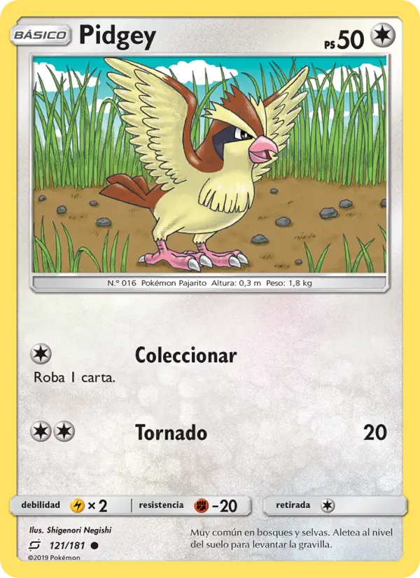 Pidgey #121 — Union de Aliados