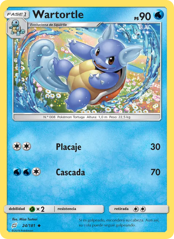 Wartortle #24
