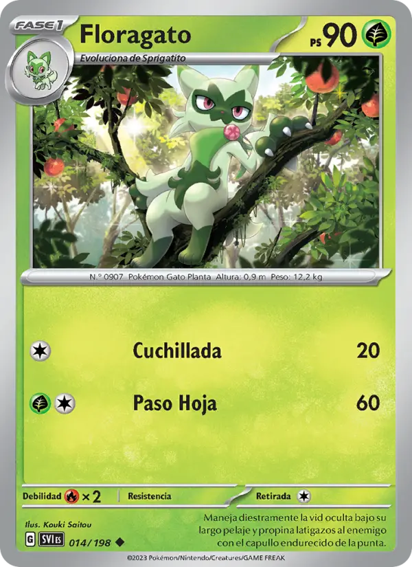 Floragato #014