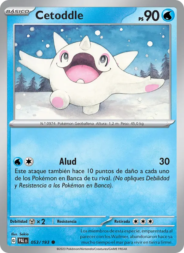 Cetoddle #053