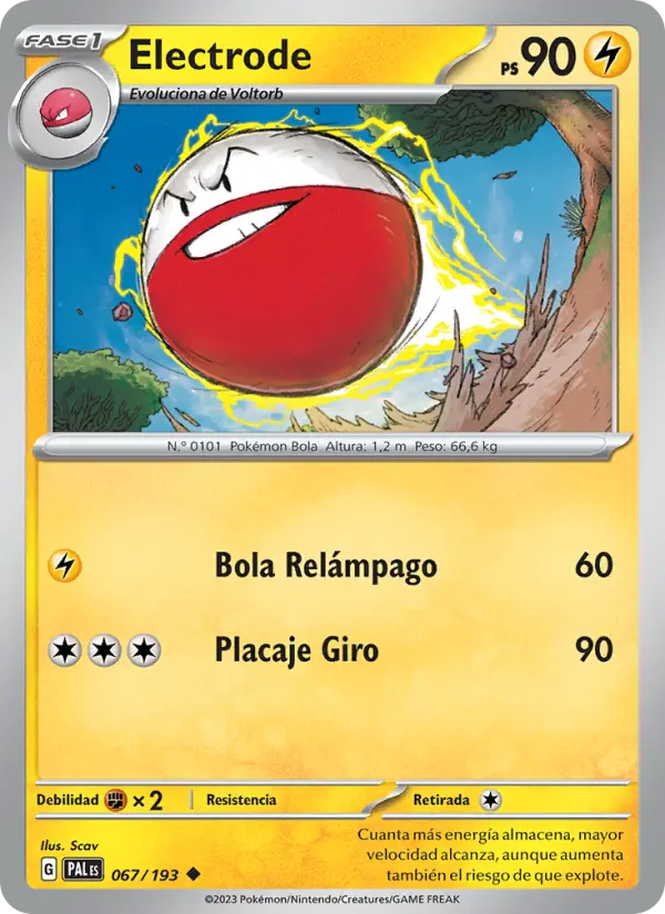 Electrode #067