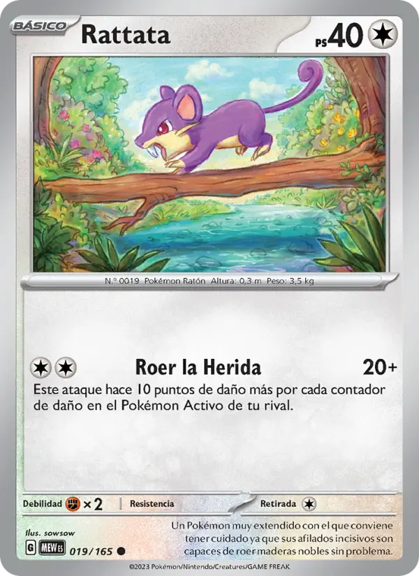 Rattata #019