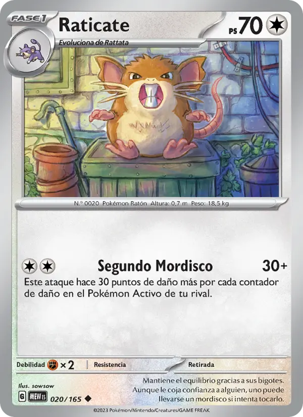 Raticate #020