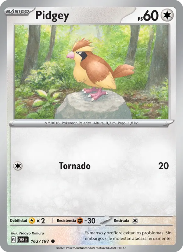 Pidgey #162