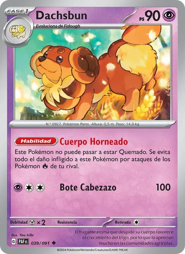 Dachsbun #039