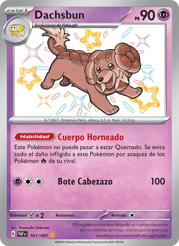 Dachsbun #161 — Destinos de Paldea