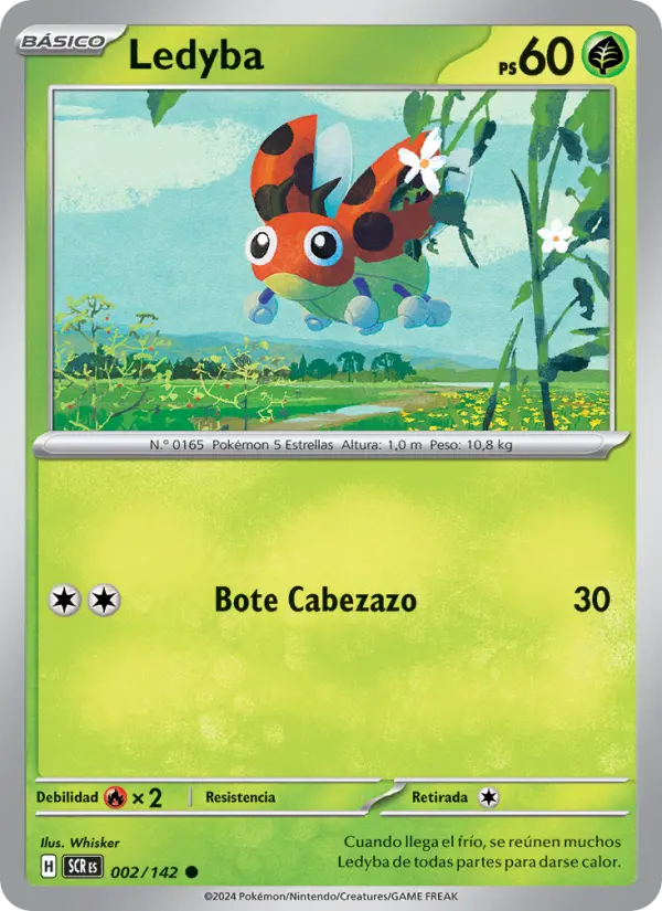 Ledyba #002