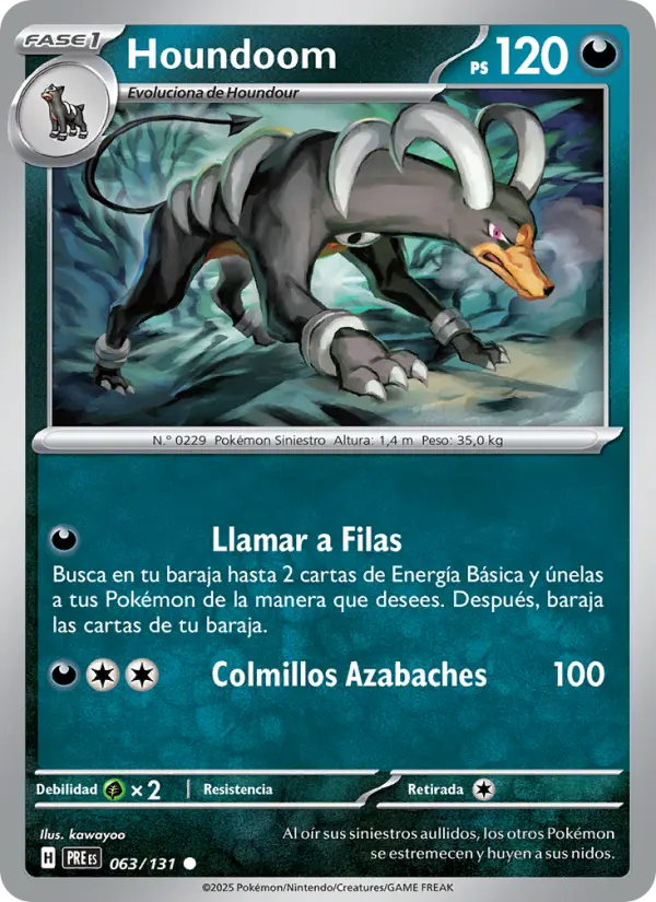 Houndoom #063