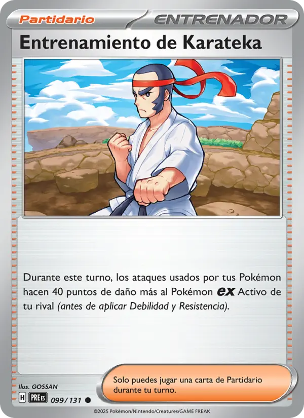 Entrenamiento de Karateka #099