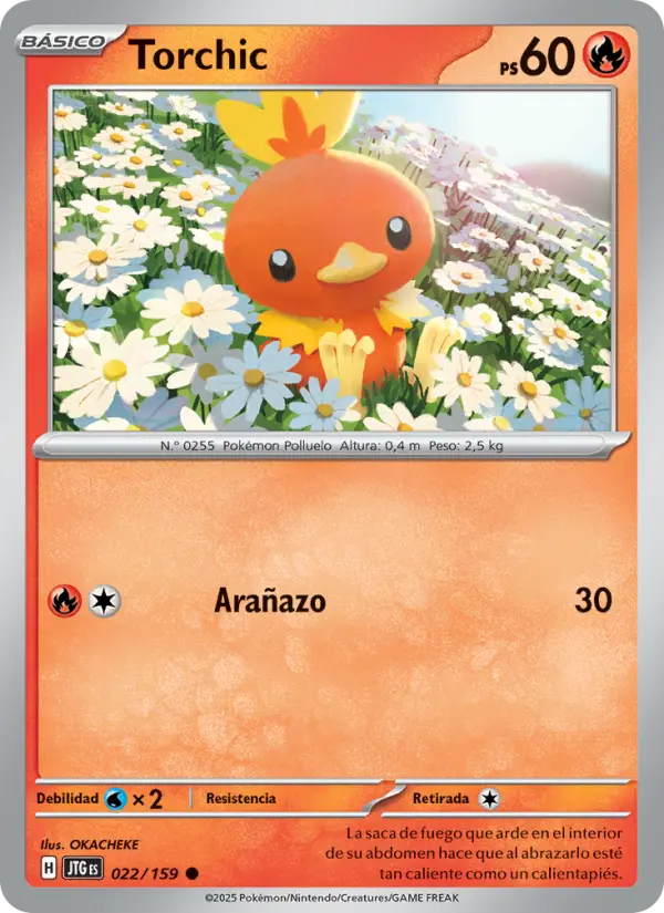 Torchic #022