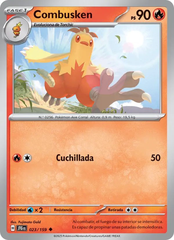 Combusken #023