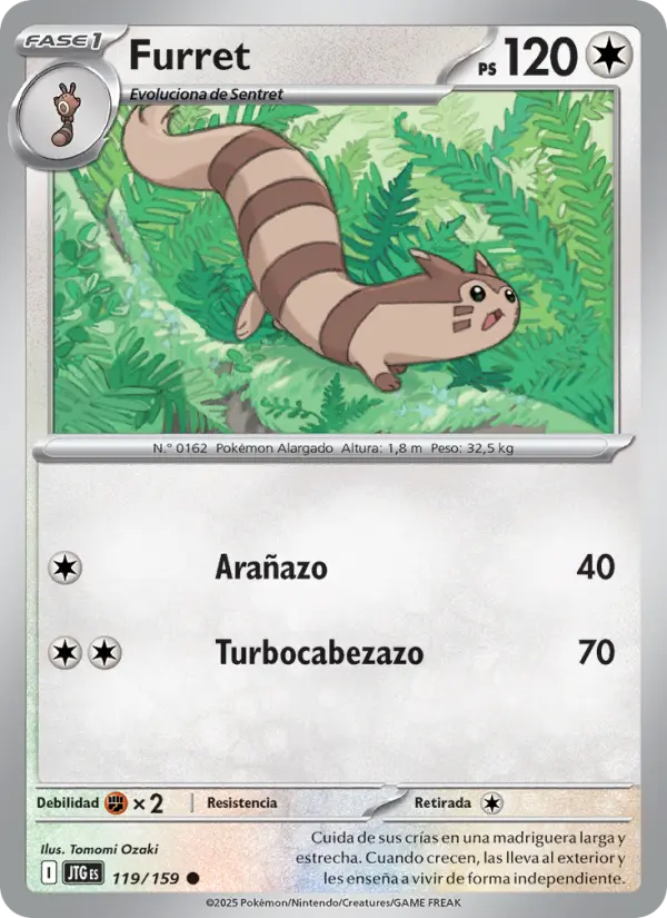 Furret #119