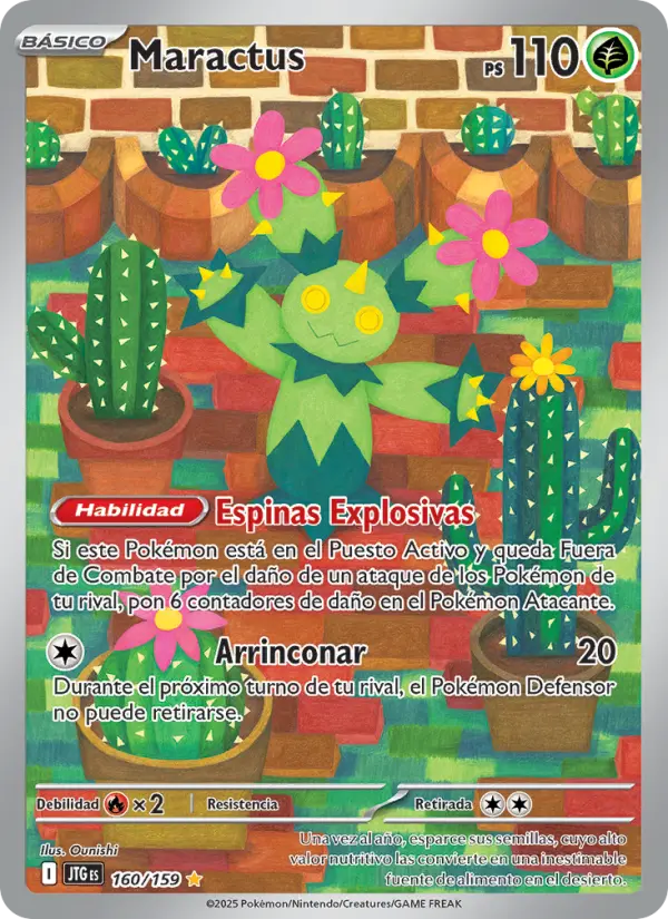 Maractus #160