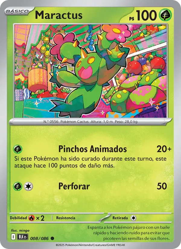 Maractus #008