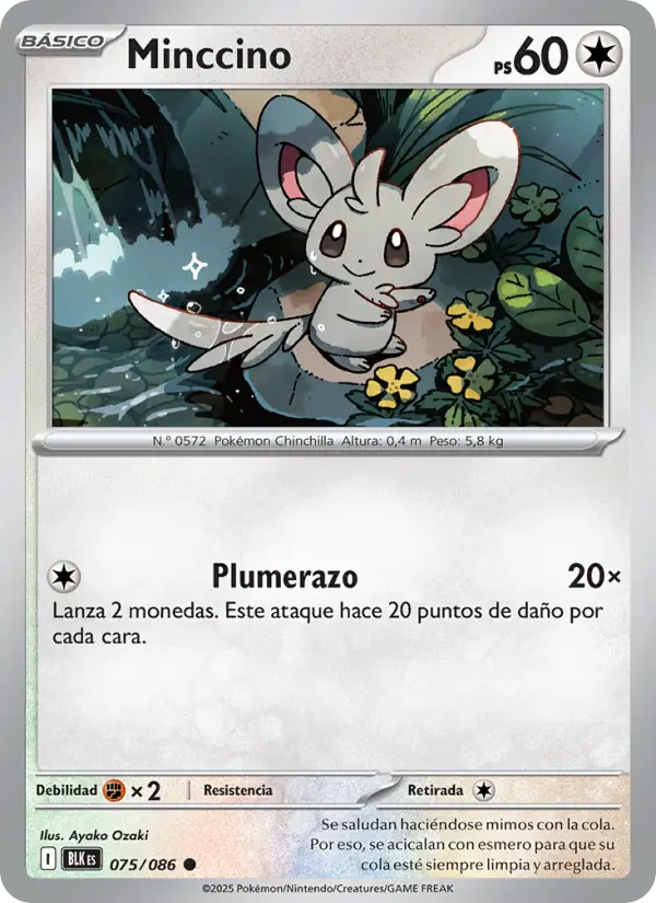 Minccino #075