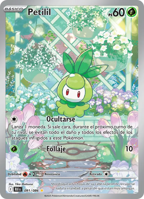 Petilil #091