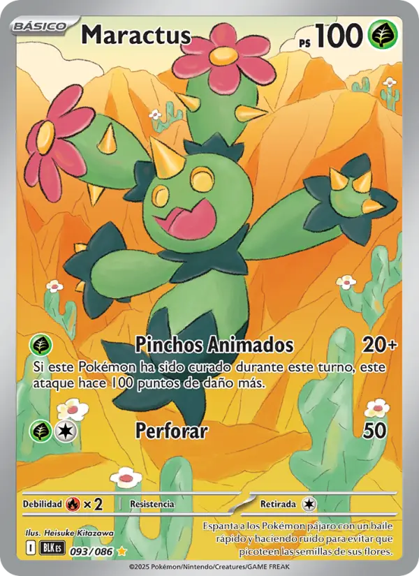 Maractus #093