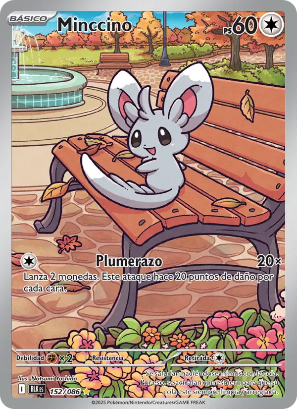 Minccino #152