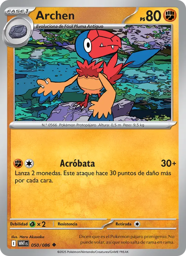 Archen #050