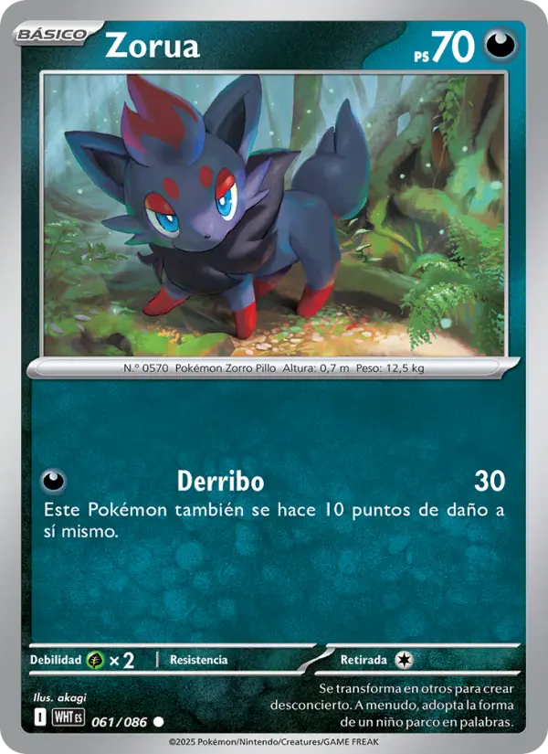 Zorua #061 — Llama Blanca