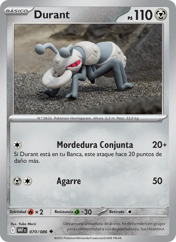 Durant #070 — Llama Blanca