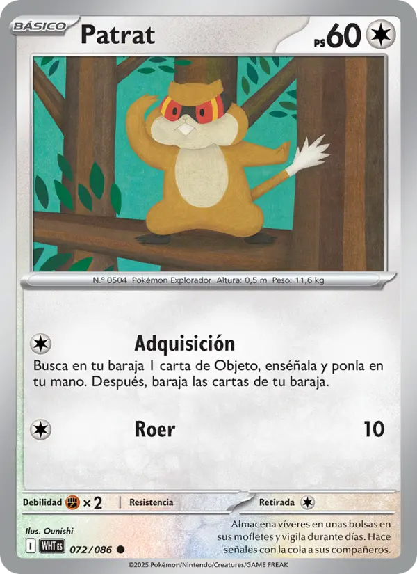 Patrat #072 — Llama Blanca