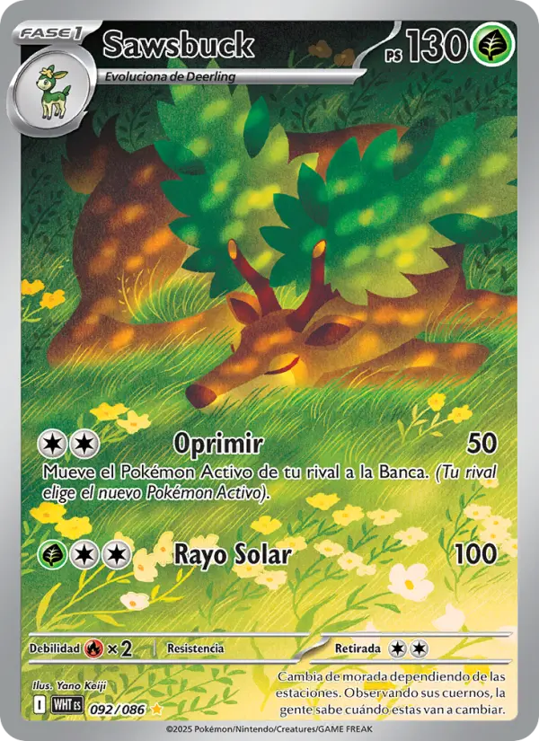 Sawsbuck #092