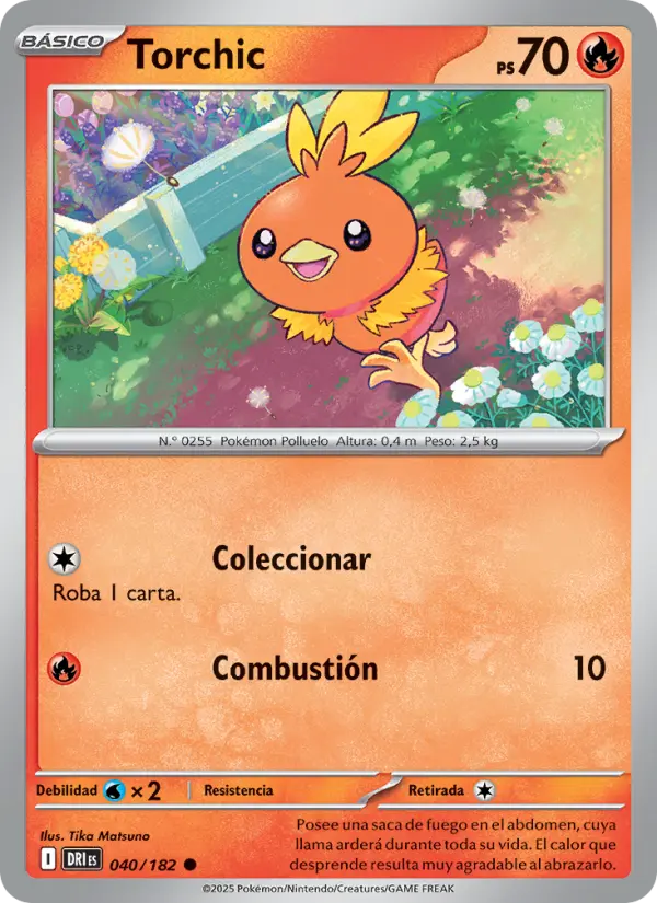 Torchic #040