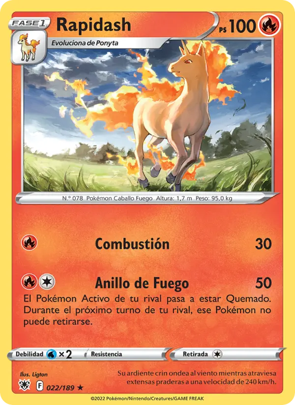 Rapidash #022