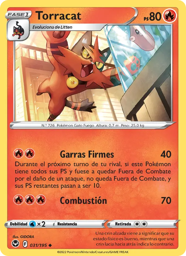 Torracat #031