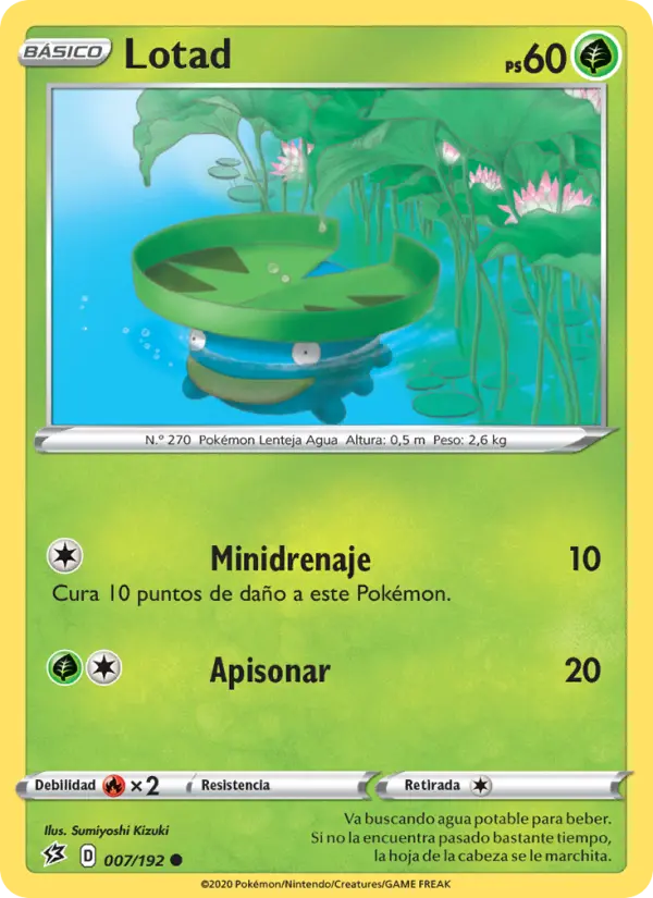 Lotad #7