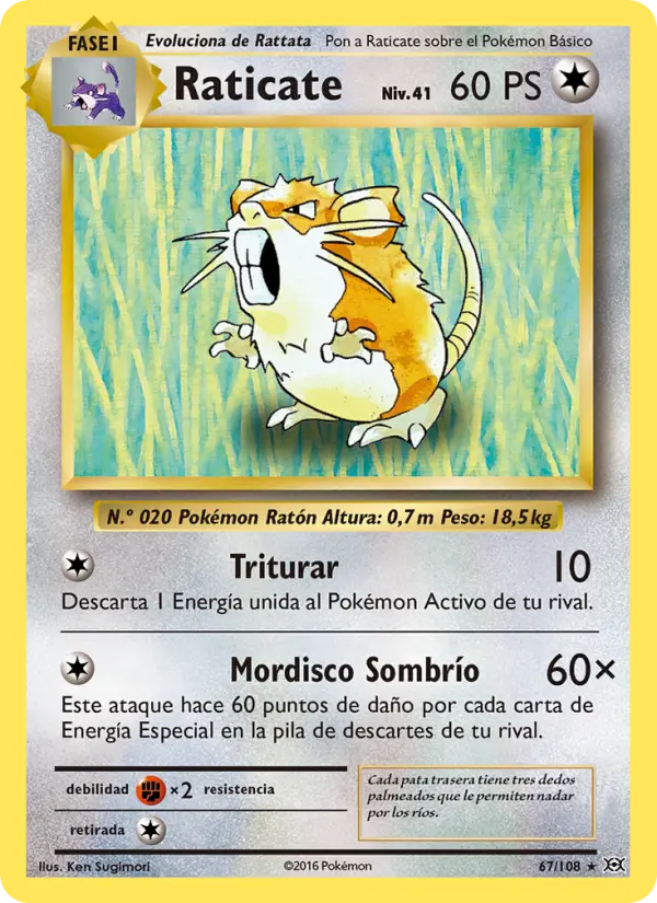Raticate #67