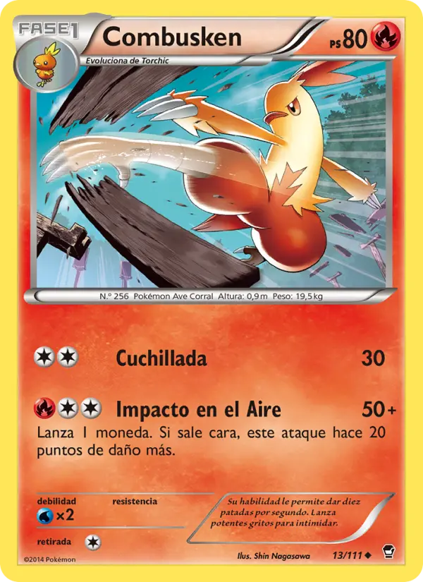 Combusken #13