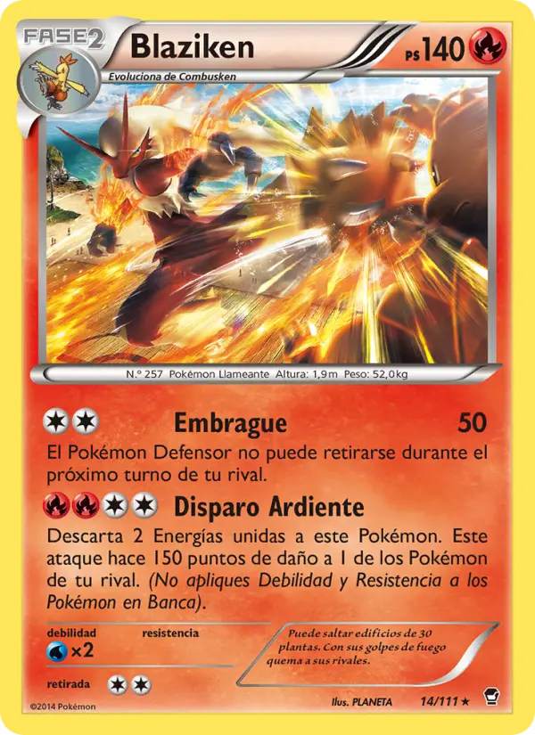 Blaziken #14