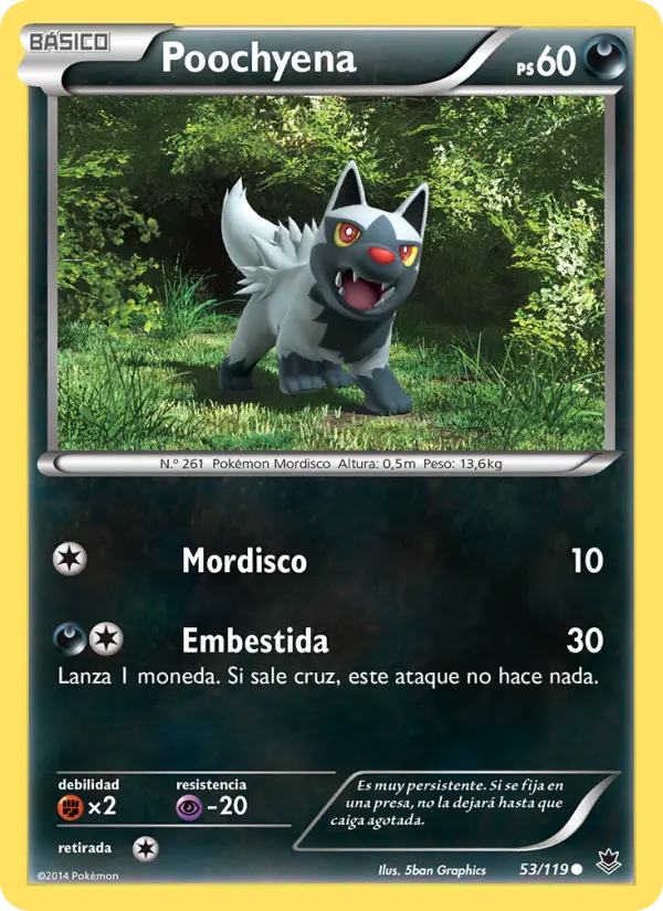 Poochyena #53