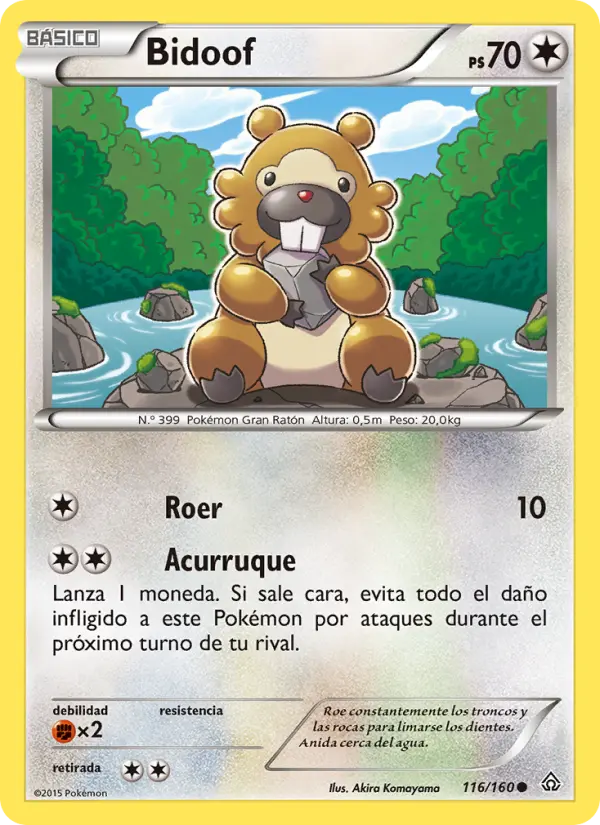 Bidoof #116