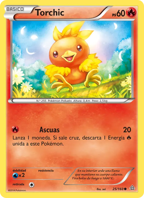 Torchic #25