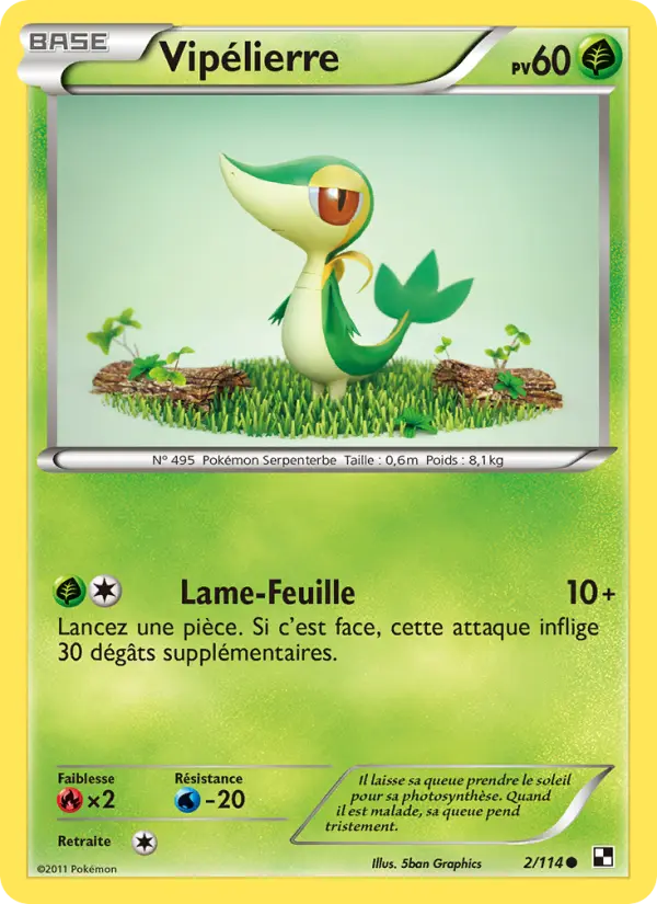 Vipélierre #2