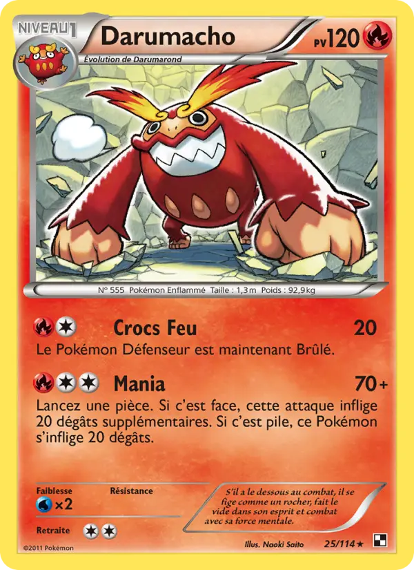 Darumacho #25