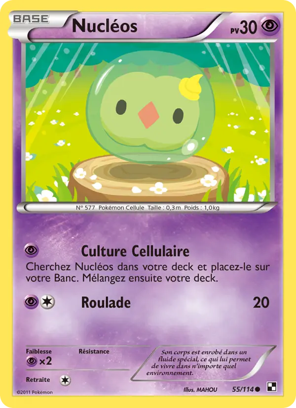 Nucléos #55