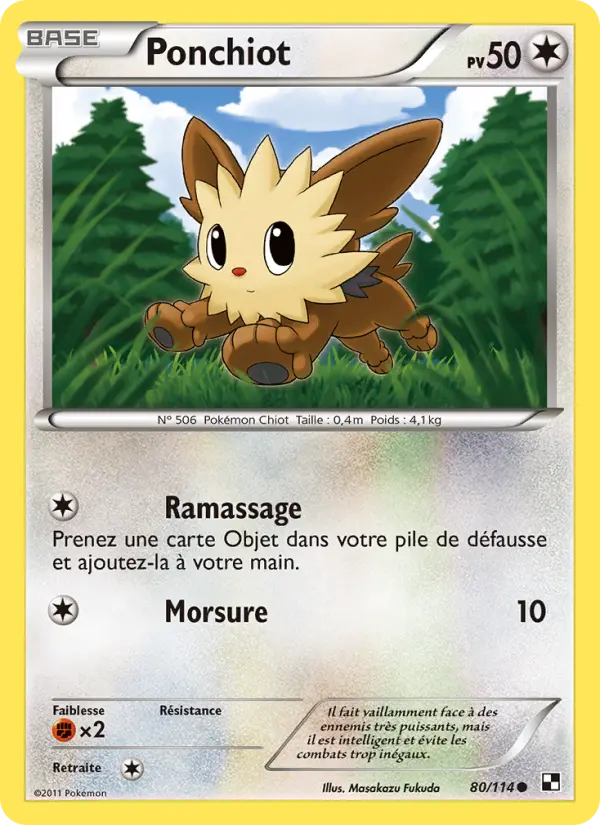 Lillipup #80