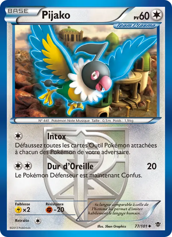 Pijako #77