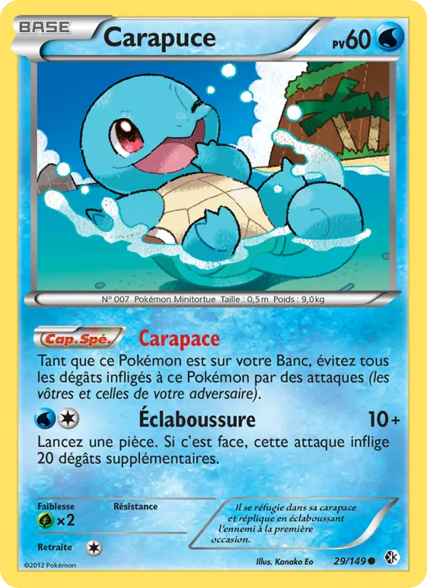 Carapuce #29