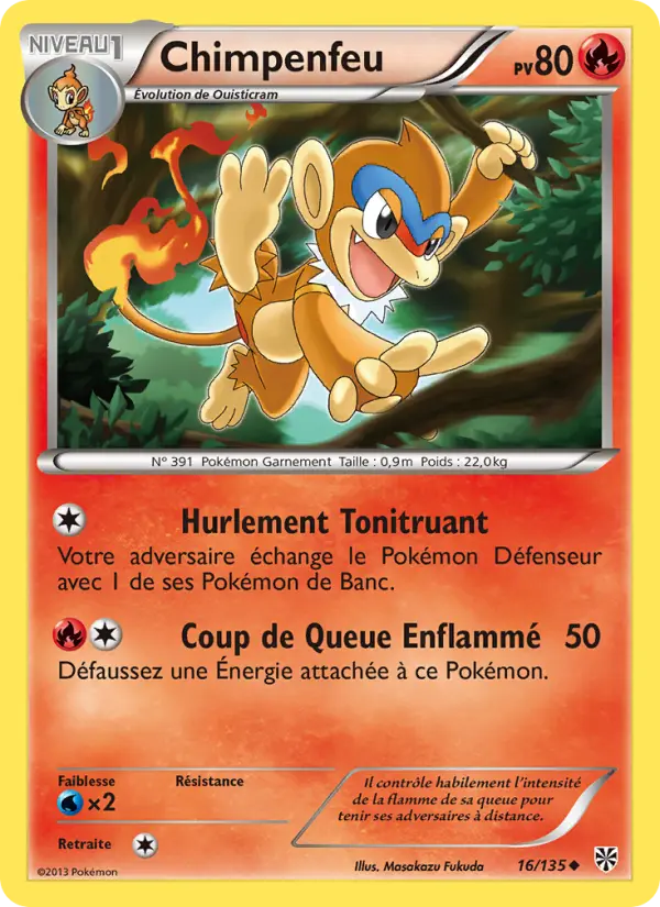 Chimpenfeu #16